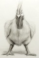 Chicken Sketch